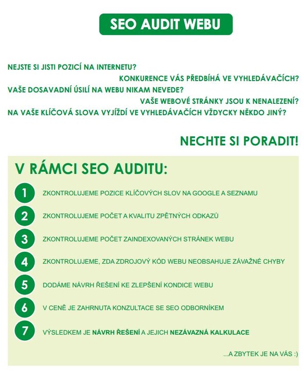 SEO audit-nahled